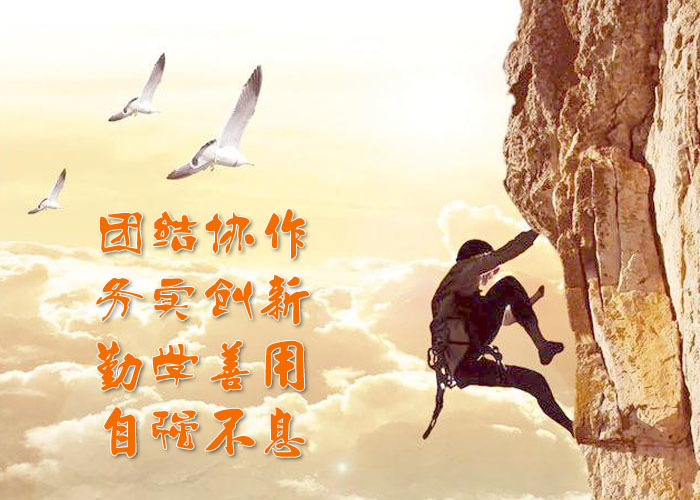 1704958055275544.jpg 企業(yè)作風(fēng).jpg